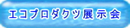 ナノダックス株式会社のエコプロダクツ展示会